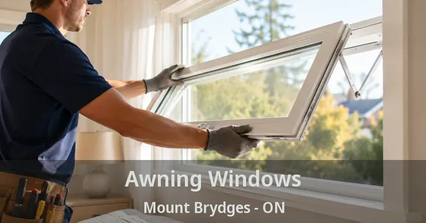 Awning Windows Mount Brydges - ON