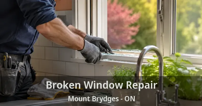 Broken Window Repair Mount Brydges - ON