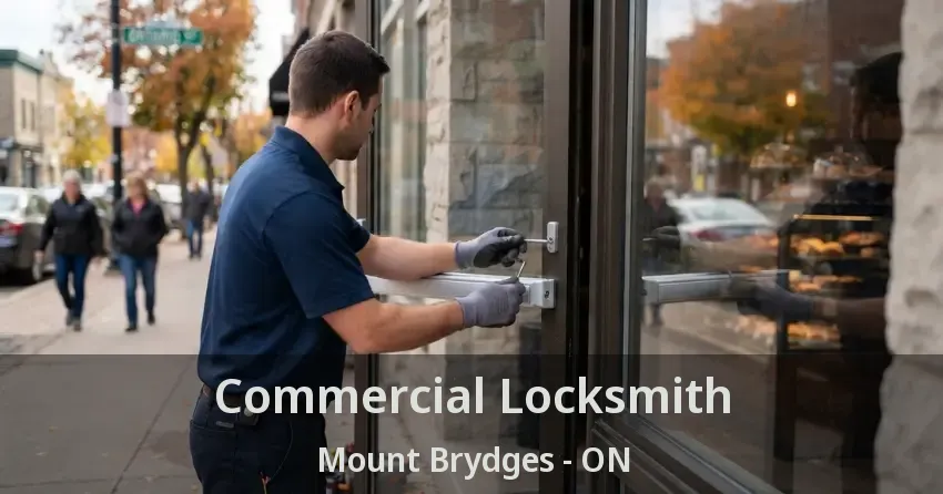 Commercial Locksmith Mount Brydges - ON