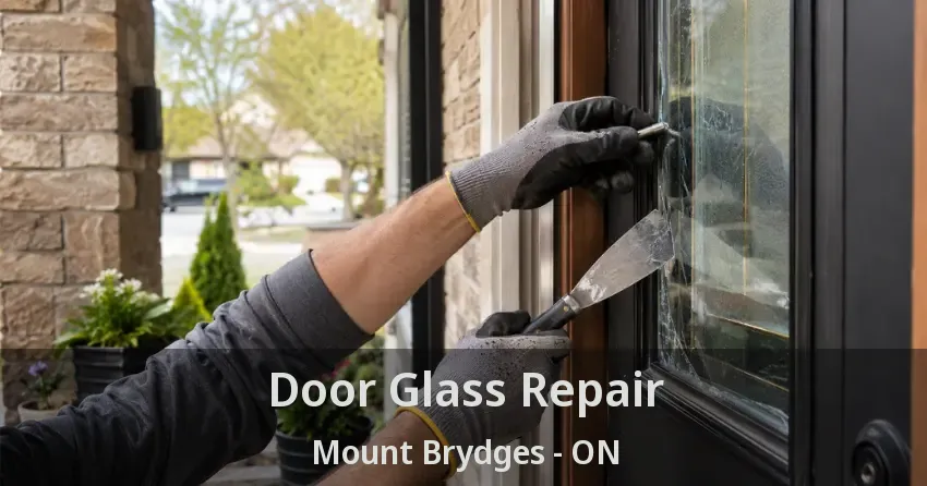 Door Glass Repair Mount Brydges - ON