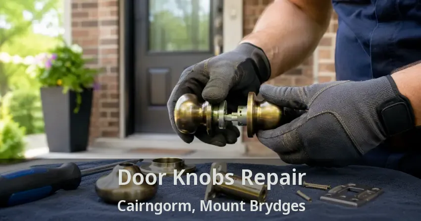 Door Knobs Repair Cairngorm, Mount Brydges - ON