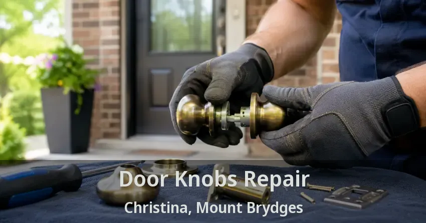 Door Knobs Repair Christina, Mount Brydges - ON