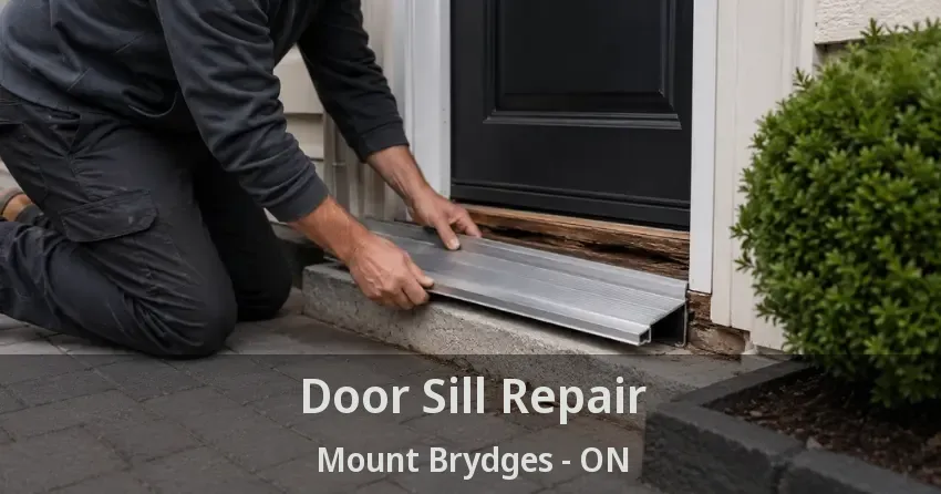 Door Sill Repair Mount Brydges - ON