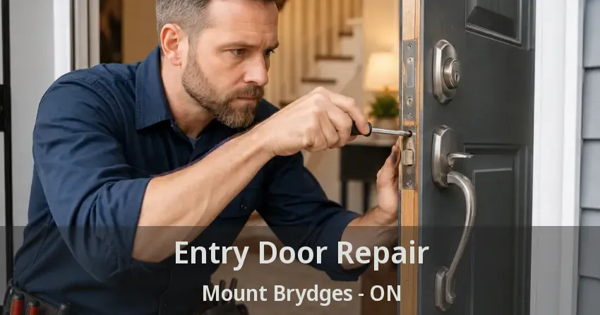 Entry Door Repair Mount Brydges - ON