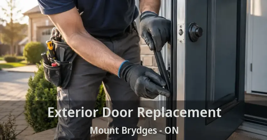 Exterior Door Replacement Mount Brydges - ON
