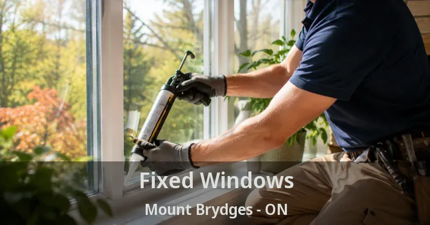 Fixed Windows Mount Brydges - ON