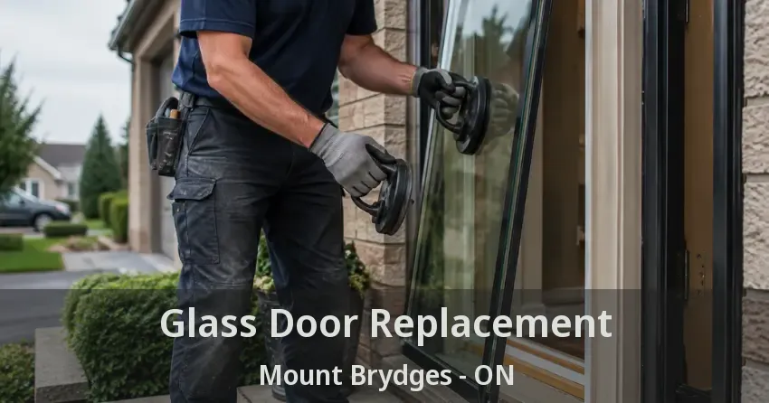 Glass Door Replacement Mount Brydges - ON