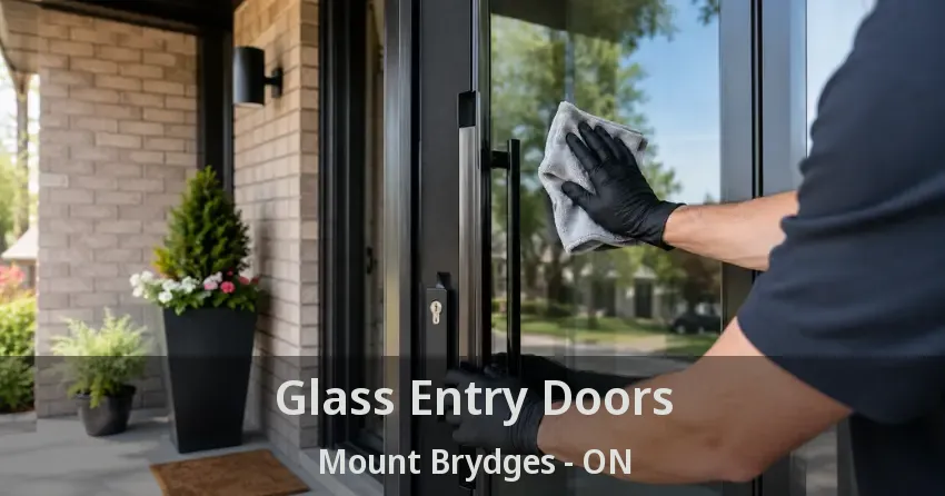Glass Entry Doors Mount Brydges - ON