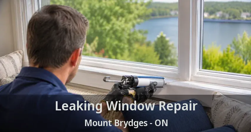 Leaking Window Repair Mount Brydges - ON