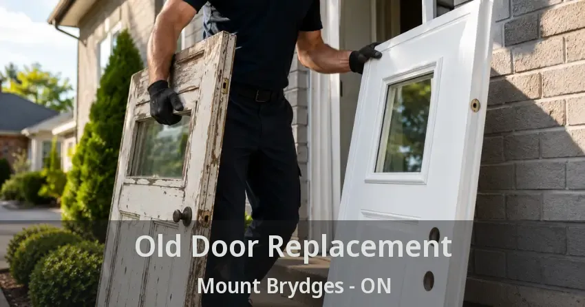 Old Door Replacement Mount Brydges - ON