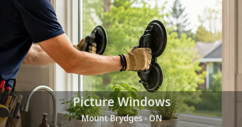Picture Windows Mount Brydges - ON