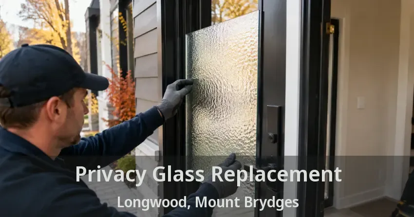 Privacy Glass Replacement Longwood, Mount Brydges - ON