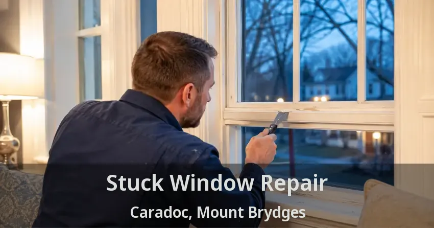 Stuck Window Repair Caradoc, Mount Brydges - ON