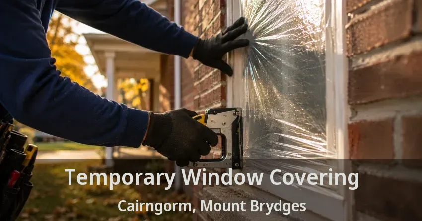 Temporary Window Covering Cairngorm, Mount Brydges - ON