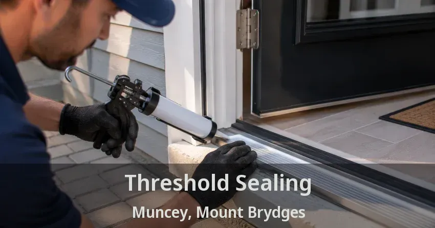 Threshold Sealing Muncey, Mount Brydges - ON
