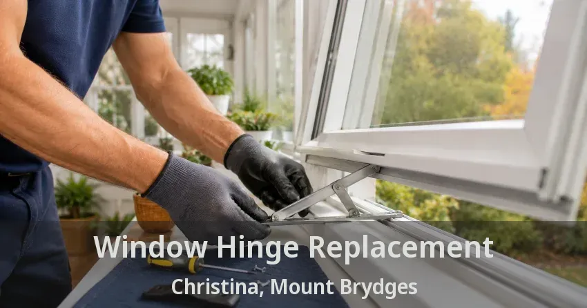 Window Hinge Replacement Christina, Mount Brydges - ON