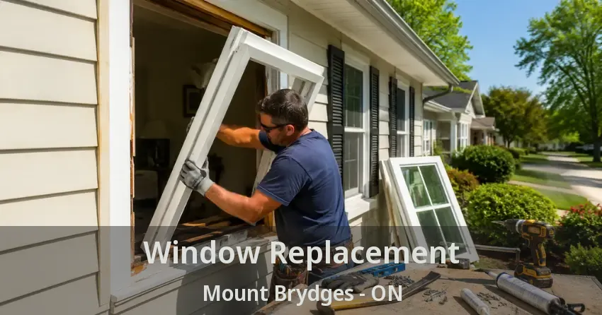 Window Replacement Mount Brydges - ON