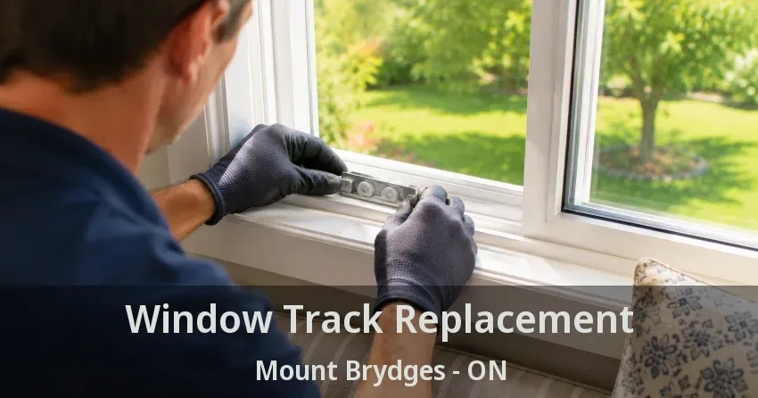 Window Track Replacement Mount Brydges - ON